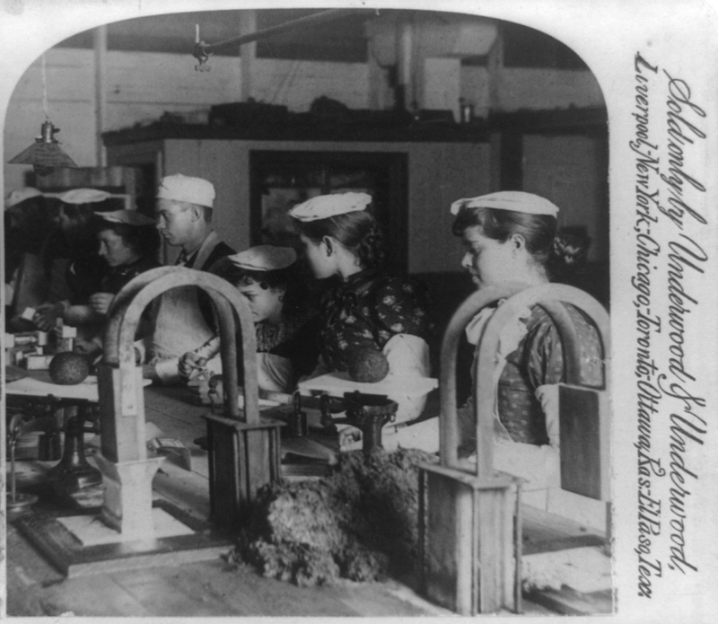 Illustration for article titled Utterly Disturbing, Century-Old Photos of Meat-Packing Facilities